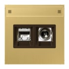 JUNG - Smart-TV-Anschlussdose 2fach, Schriftfeld, Messing, Serie LS, Messing classic