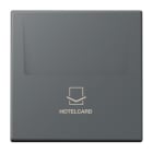 JUNG - Hotelcard-Schalter LC32010