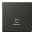 JUNG - Hotelcard-Schalter LC4320R