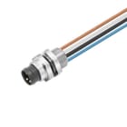 WEIDMÜLLER - Steckverbinder, Stift, M8 Rast