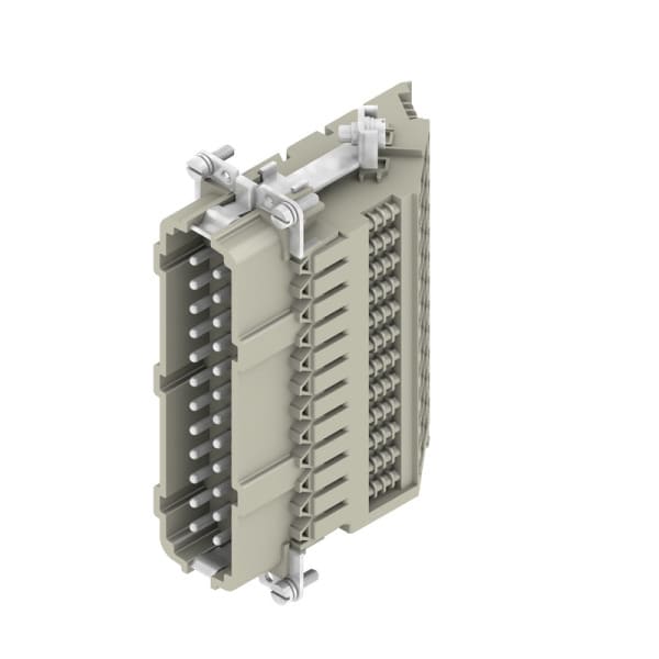 WEIDMÜLLER - Kodierelement (Industriesteckverbinder), Kupferlegierung, Farbe: beige