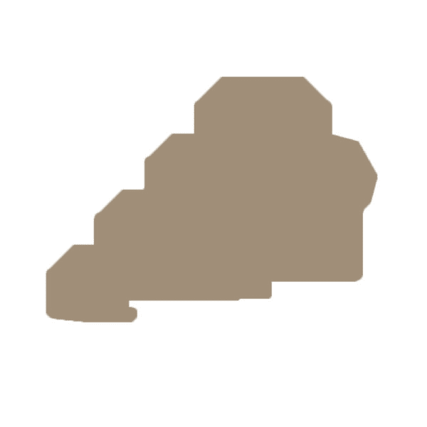 WEIDMÜLLER - Abschlussplatte (Klemmen), 82.79x1.5mm, dunkelbeige