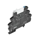 WEIDMÜLLER - Koppelrelais, 12 V DC ±20 %, 1 Wechsler (AgNi)