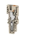 WEIDMÜLLER - Stecker (Klemmen), PUSH IN, 2.5mm², 800, 24A, Polzahl: 1, dunkelbeige