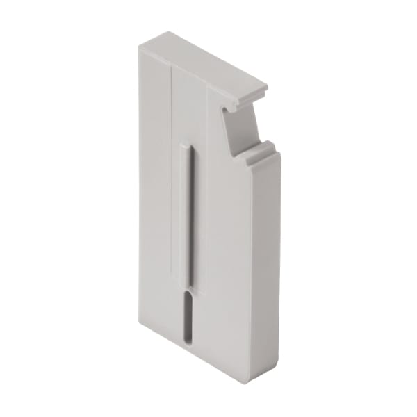 WEIDMÜLLER - Abschluss- und Zwischenplatte (Klemmen), 31.5x4mm, grau