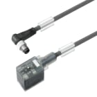 WEIDMÜLLER - Ventilleitung, Stecker gewinkelt - Ventilstecker, Bauform B Industrie (11 mm), M8 = keine
