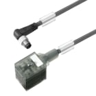 WEIDMÜLLER - Ventilleitung, Stecker gewinkelt - Ventilstecker, Bauform A (18 mm), M8 = keine