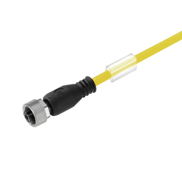 WEIDMÜLLER - Kabel, Einseitig offen, M12
