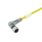 WEIDMÜLLER - Kabel, Einseitig offen, M12