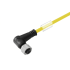 WEIDMÜLLER - Kabel, Einseitig offen, M12