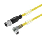 WEIDMÜLLER - Kabel, Verbindungsleitung, M12 / M8