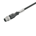 WEIDMÜLLER - Kabel, Einseitig offen, M12
