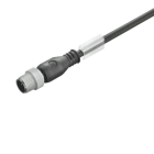 WEIDMÜLLER - Kabel, Einseitig offen, M12