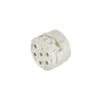 WEIDMÜLLER - Sensor-Aktor-Einsatz Lötbuchse, Lötkelch, Crimp, M23,Pole:12