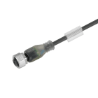 WEIDMÜLLER - Kabel, Einseitig offen, M12
