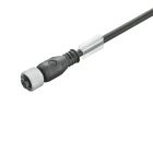 WEIDMÜLLER - Kabel, Einseitig offen, M12