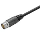 WEIDMÜLLER - Kabel, Einseitig offen, M23, Außengewinde