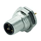 WEIDMÜLLER - Stecker, Stift, gerade, M12