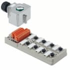 WEIDMÜLLER - Sensor-/Aktor-Verteiler, Komplett-Modul, Haubenversion mit M20 Abgang