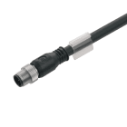 WEIDMÜLLER - Kabel, Einseitig offen, Polzahl: 2