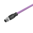 WEIDMÜLLER - Kabel, Einseitig offen, Polzahl: 2