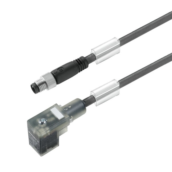 WEIDMÜLLER - Ventilleitung, Stecker gerade - Ventilstecker, Bauform C DIN (8 mm), M8 = keine