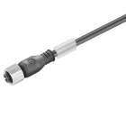 WEIDMÜLLER - Kabel, Einseitig offen, M12