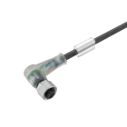 WEIDMÜLLER - Kabel, Einseitig offen, M12