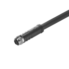 WEIDMÜLLER - Kabel, Einseitig offen, M12