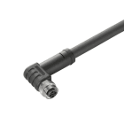 WEIDMÜLLER - Kabel, Einseitig offen, M12