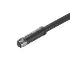 WEIDMÜLLER - Kabel, Einseitig offen, M12