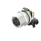 WEIDMÜLLER - Stecker, M12