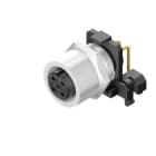 WEIDMÜLLER - Stecker, M12