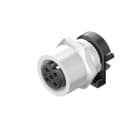 WEIDMÜLLER - Stecker, M12