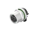 WEIDMÜLLER - Stecker, M12