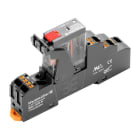 WEIDMÜLLER - Koppelrelais, 24 V AC, 1 Wechsler (AgSnO)