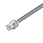 WEIDMÜLLER - Rundsteckverbinder, Einbau (mit Leitung), M12, Polzahl: 5, 2.5mm²