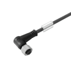WEIDMÜLLER - Kabel, Einseitig offen, M12