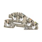 WEIDMÜLLER - Klemme, PUSH IN, 4 mm²