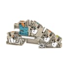 WEIDMÜLLER - Klemme, Sammelschienenanschluss, PUSH IN, 4 mm²