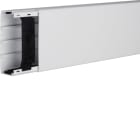 TEHALIT - Leitungsführungskanal 40x110,lichtgrau