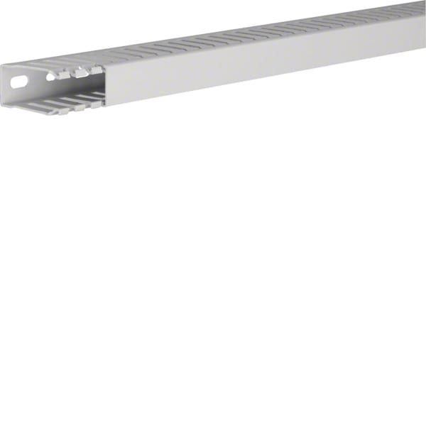 TEHALIT - Verdrahtungskanal hfrei 50025,lichtgrau