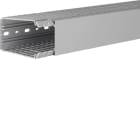 TEHALIT - Verdrahtungskanal BA7 PVC grau H=100mm B=60mm L=2m