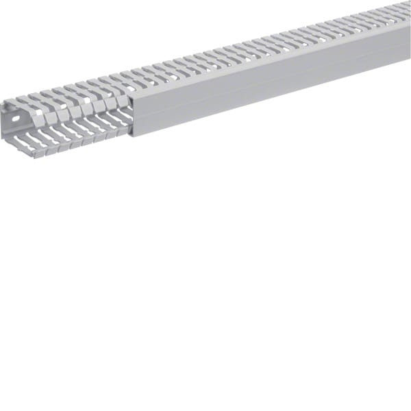 TEHALIT - Verdrahtungskanal BA7 PVC grau H=60mm B=40mm L=2m