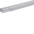TEHALIT - Verdrahtungskanal BA7 PVC grau H=60mm B=40mm L=2m