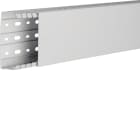 TEHALIT - Verdrahtungskanal HA7 PC/ABS  lichtgrau H=40mm B=100mm L=2m