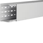 TEHALIT - Verdrahtungskanal HA7 PC/ABS  lichtgrau H=80mm B=100mm L=2m