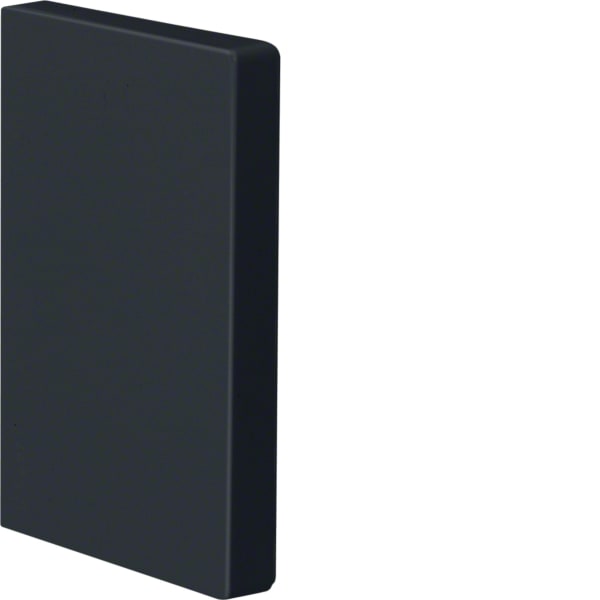 TEHALIT - Endplatte für BRP/BRHP 65x100, gr.schwarz