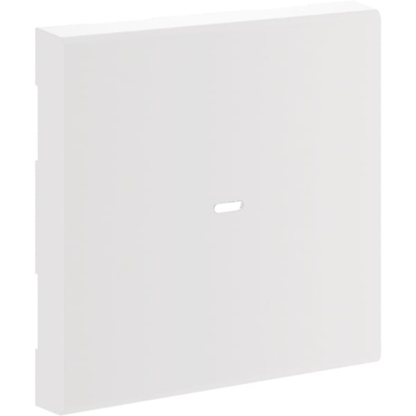 TEHALIT - Wippe 1-fach Linse Tastsensormodul, vw