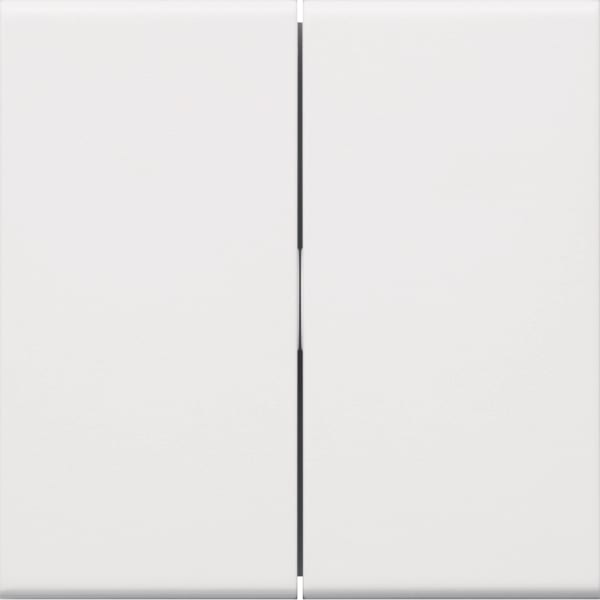 TEHALIT - Wippe 2-fach Schalter/Taster, vw